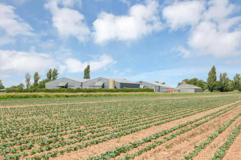 White House Farm, Low Lane, Friskney... Detached house for sale