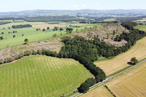 Greatbarrock Wood, Armathwaite... Land for sale