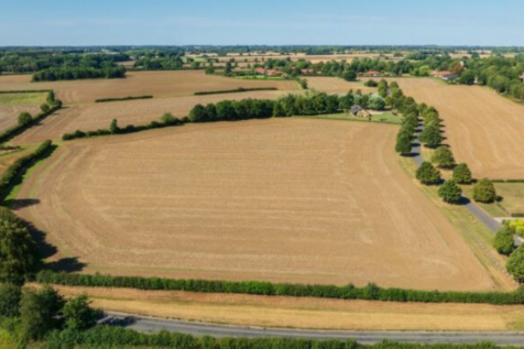 Land for sale