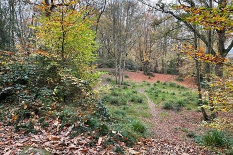 Woodland Plot Off, Powder Mill Lane... Land for sale