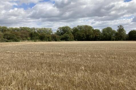Farm land for sale