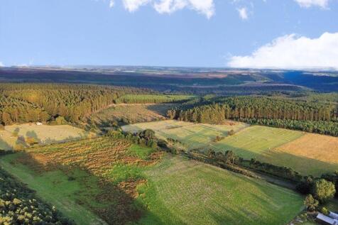 Farm land for sale