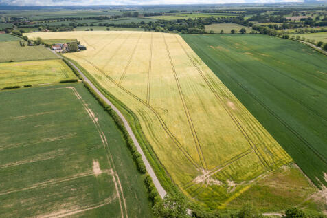Farm land for sale