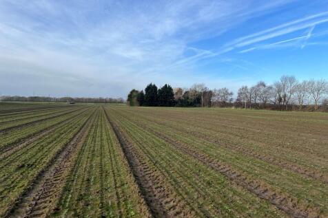 Farm land for sale