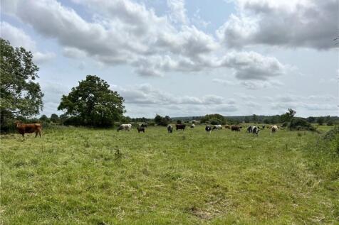 Street Drove, Somerset BA16 Land for sale