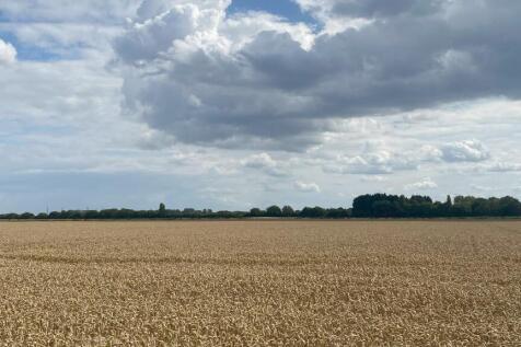 Farm land for sale