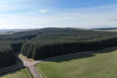 Burnhouse Moor, South Lanarkshire ML12 Woodland for sale