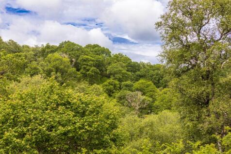 Glen Nant, Taynuilt PA35 Woodland for sale
