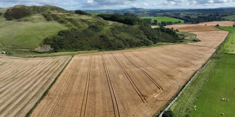 Farm land for sale