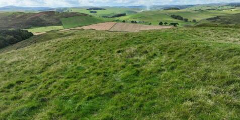 Farm land for sale