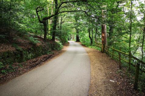 Woodland Plots off Reacliffe Road... Land for sale