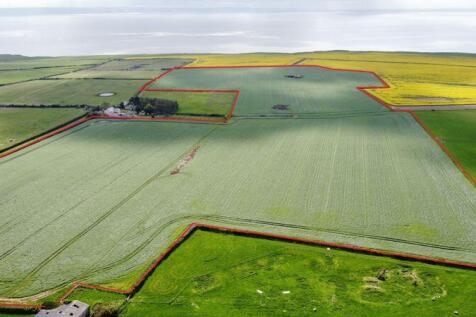 Approximately 59.96 acres of land... Farm land for sale