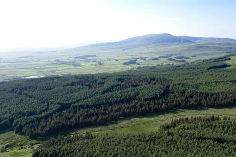 Glenquicken Forestry