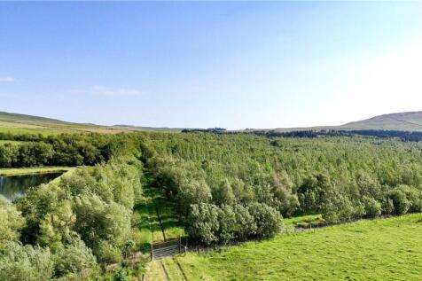 Glenquicken Aspen Woodland