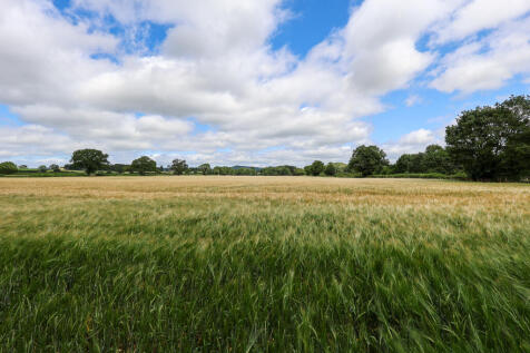 Land for sale