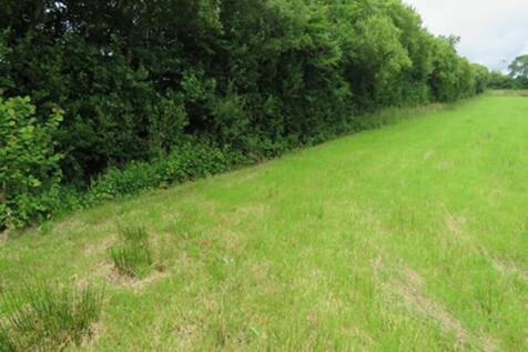 Land at Hollacombe, near Headon... Land for sale