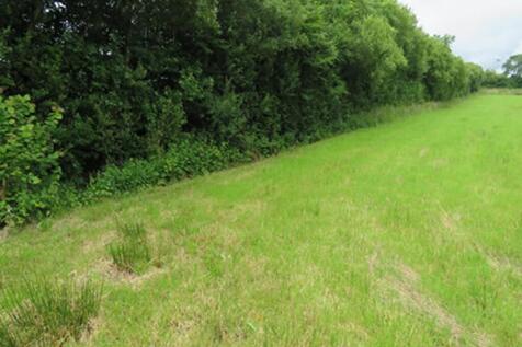 Hollacombe, Holsworthy, Clawton... Land for sale