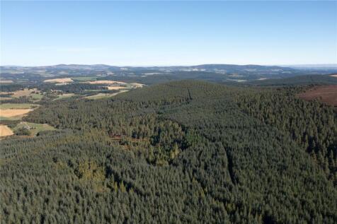 Arntilly Wood, Banchory... Land for sale