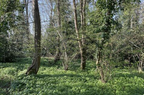 Thorne St. Margaret, Wellington Farm land for sale