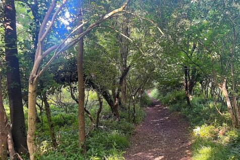 Woodland At Fownhope, Hereford... Land for sale