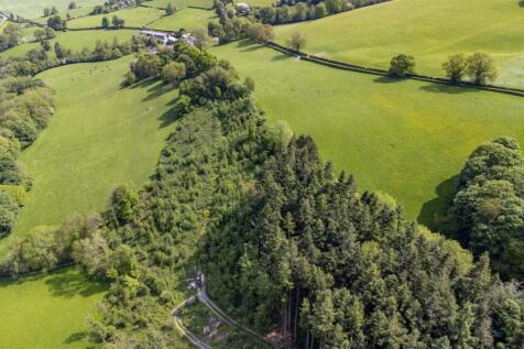 Woodland At Llwyn Y Gelli Land for sale