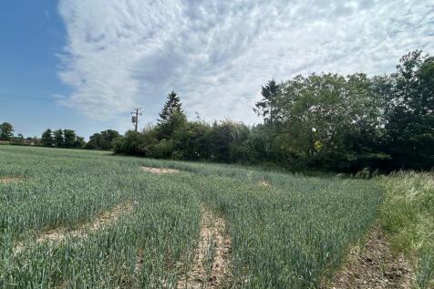 Plot for sale