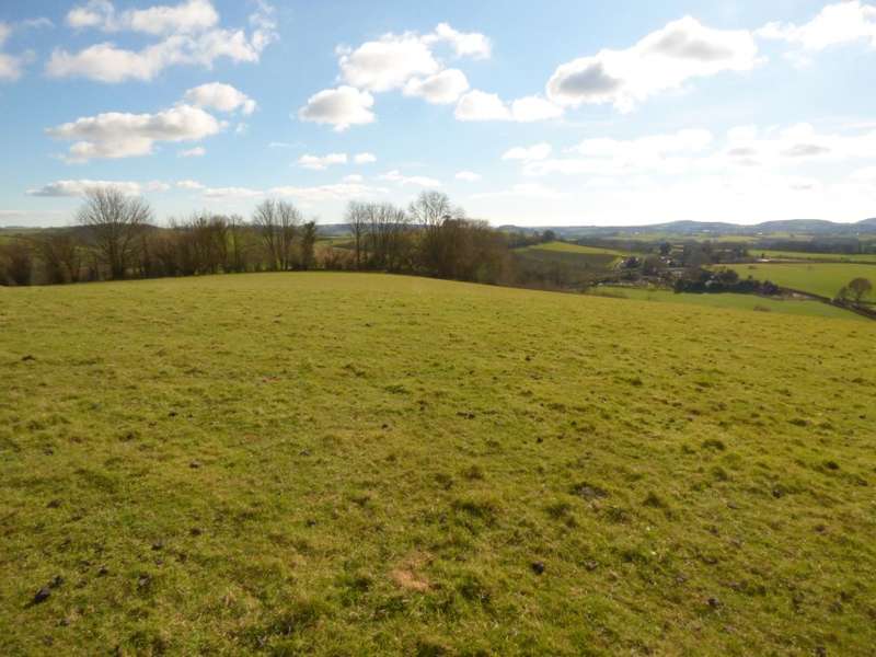 Auction Property For Sale In Dorset