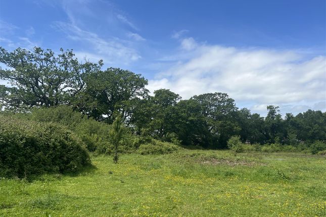 Land, in 2.87 Acres Land Off Wimborne Road, £55,000