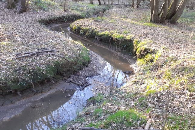 Land, in Land At Wissenden Lane, £35,000
