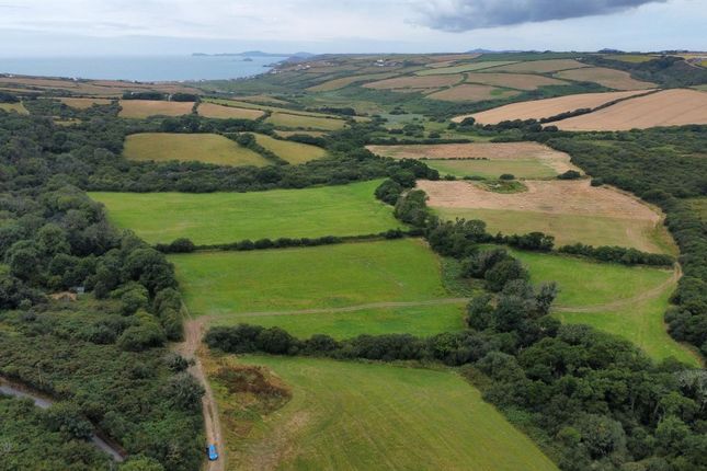 Studio, in Roch, £400,000