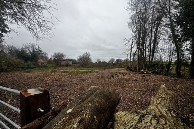 Land, in Land North Side Of Newtown, £36,000
