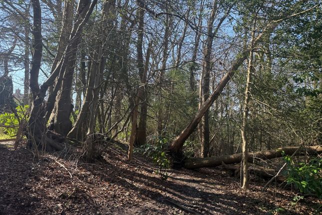Studio, in Land North Of Firwood Rise, £25,000