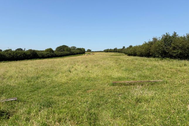 Land, in Blisland, £45,000
