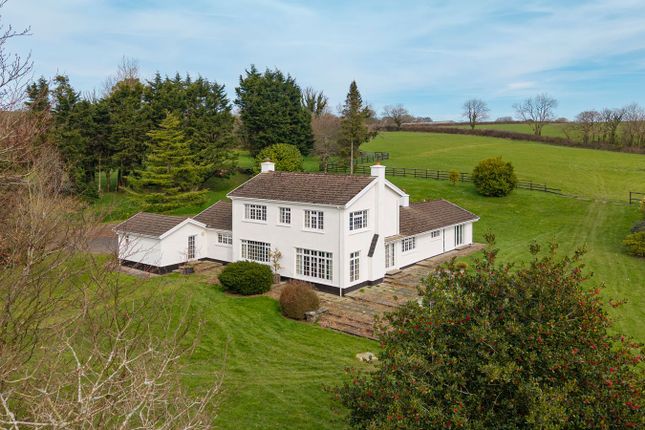 6 bed property, in New Moat, £850,000