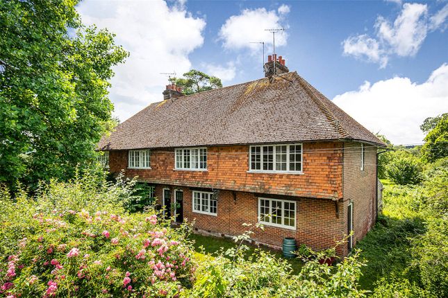 12 bed property, in Iping Road, £1,500,000