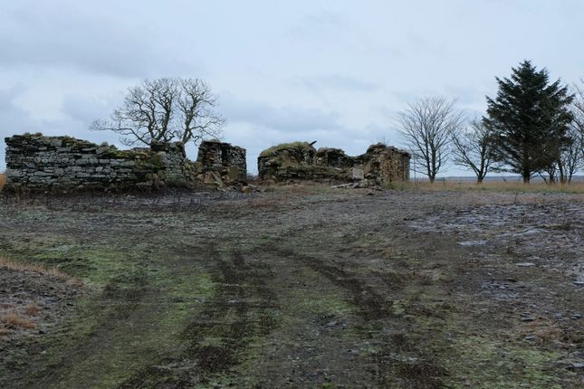 Studio, in Watten, £50,000