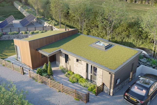 Studio, in St Gluvias, £300,000
