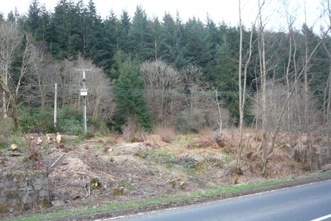 Studio, in Plot Innerghlinnie Shore Road, £55,000