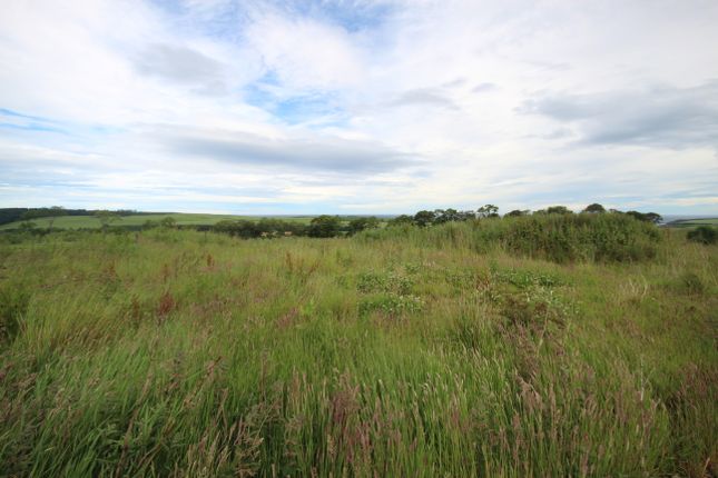 Studio, in Pitchaidlie Place, £84,000