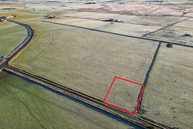 Studio, in Plot Of Land, £35,000