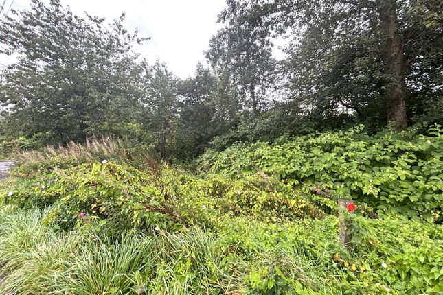Studio, in Plot At Bridge End, £7,500
