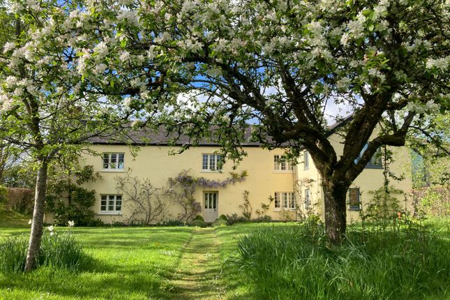 7 bed property, in Payhembury, £1,950,000