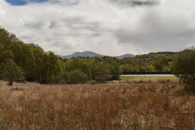 Land, in Plot With Croft At Achnahully, £175,000