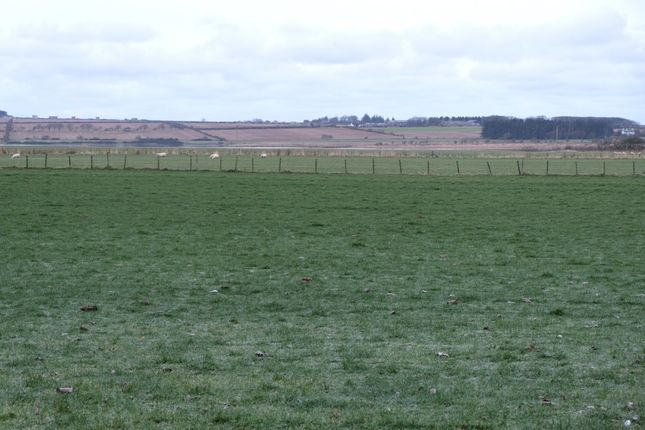 Studio, in Watten Development, £200,000
