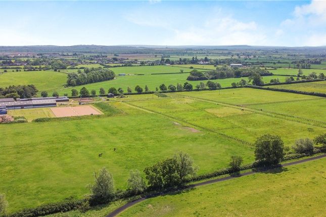 Studio, in Mill Lane, £1,850,000