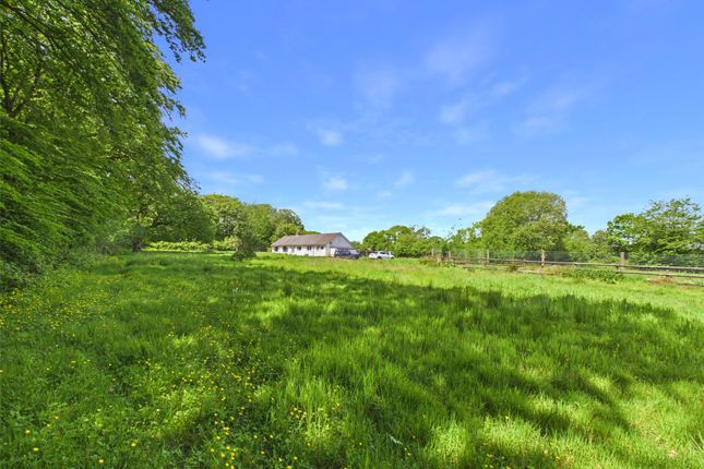 5 bed property, in Brandis Corner, £450,000