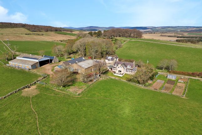 Studio, in Tough, £950,000