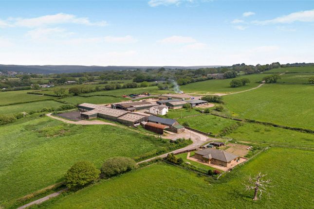 9 bed property, in Pandy Lane, £2,000,000