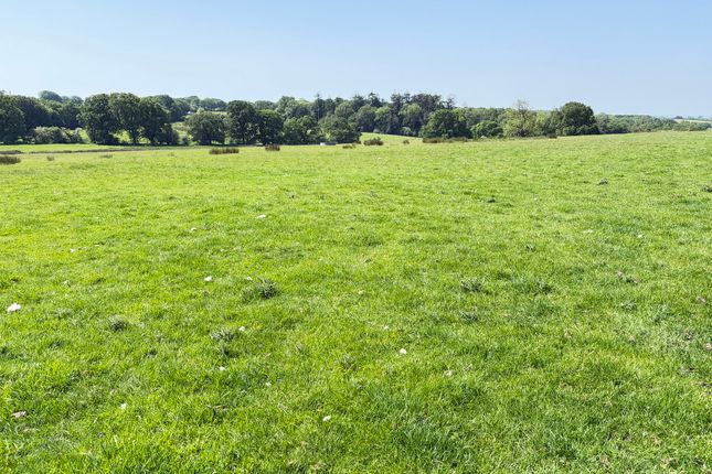 Studio, in North Tawton EX20, £500,000