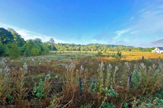 Land, in Plot West of Tigh Clovelly, £90,000